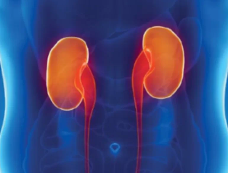 images/exams/Cintilografia Renal Dinâmica com DTPA.webp