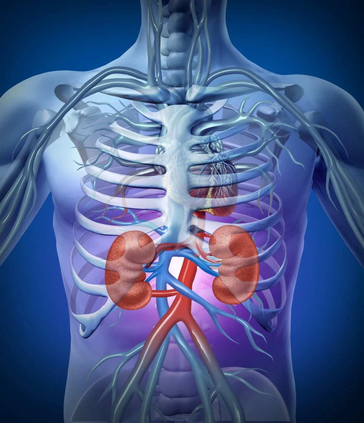 Cintilografia Renal E Com Prova De Captopril