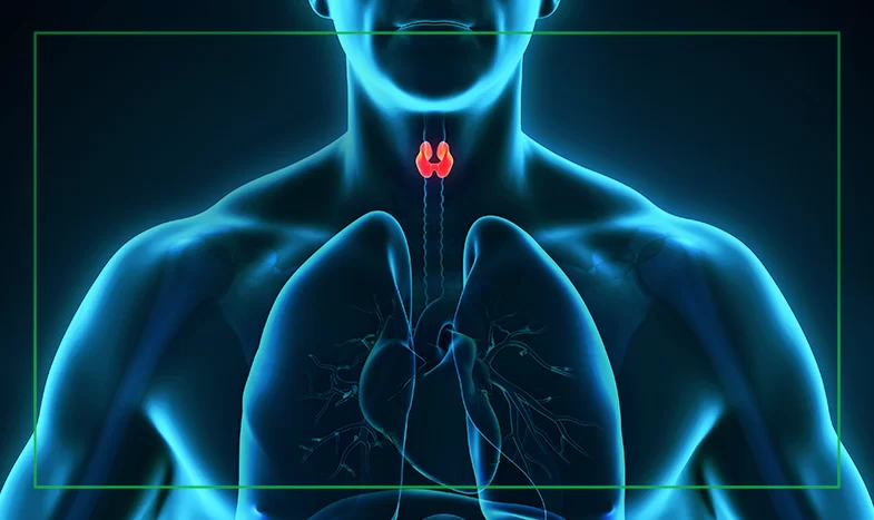 images/exams/Cintilografia da Tireoide.webp