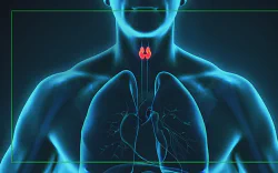 images/exams/Cintilografia da Tireoide.webp