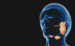 images/exams/Cintilografia das Glândulas Salivares.webp