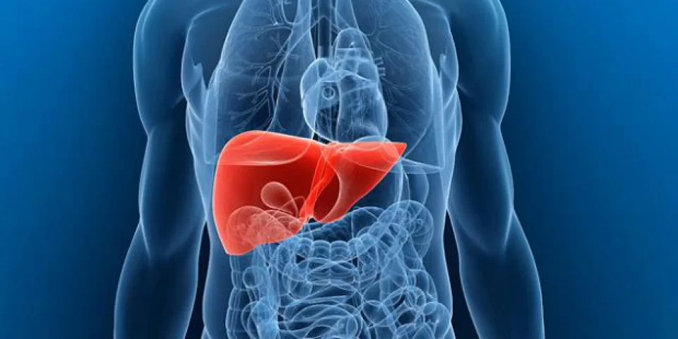 images/exams/Cintilografia do Fígado e Baço.webp