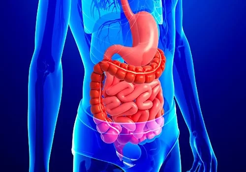 images/exams/Cintilografia para Estudo do Esvaziamento Gastroesofágico Líquido.webp