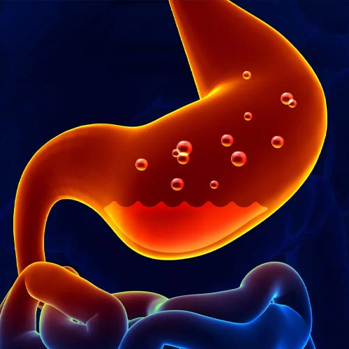 Cintilografia Para Estudo Do Esvaziamento Gastroesofágico De Alimentos Sólidos
