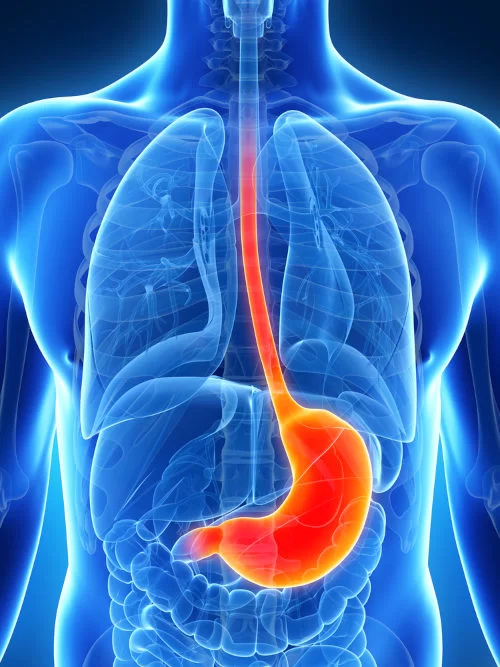 images/exams/Cintilografia para Pesquisa de Refluxo Gastroesofágico.webp