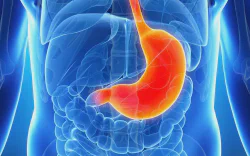 images/exams/Cintilografia para estudo do Esvaziamento Esofágico de Líquido.webp